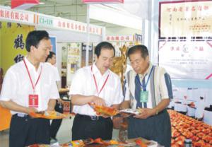 原安陽市市長董永安、副市長陳明今到公司調(diào)研